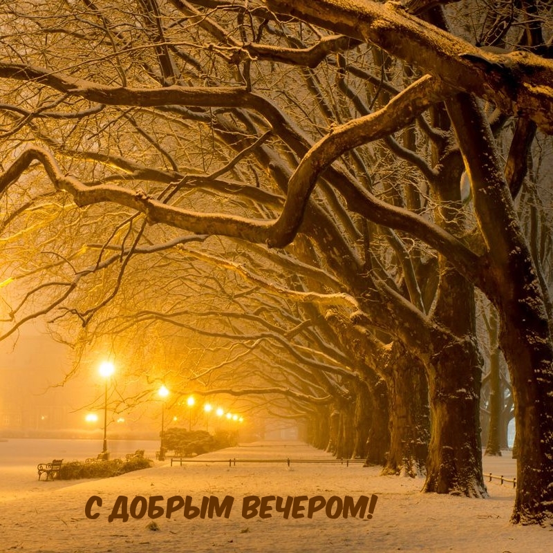 С добрым вечером!
