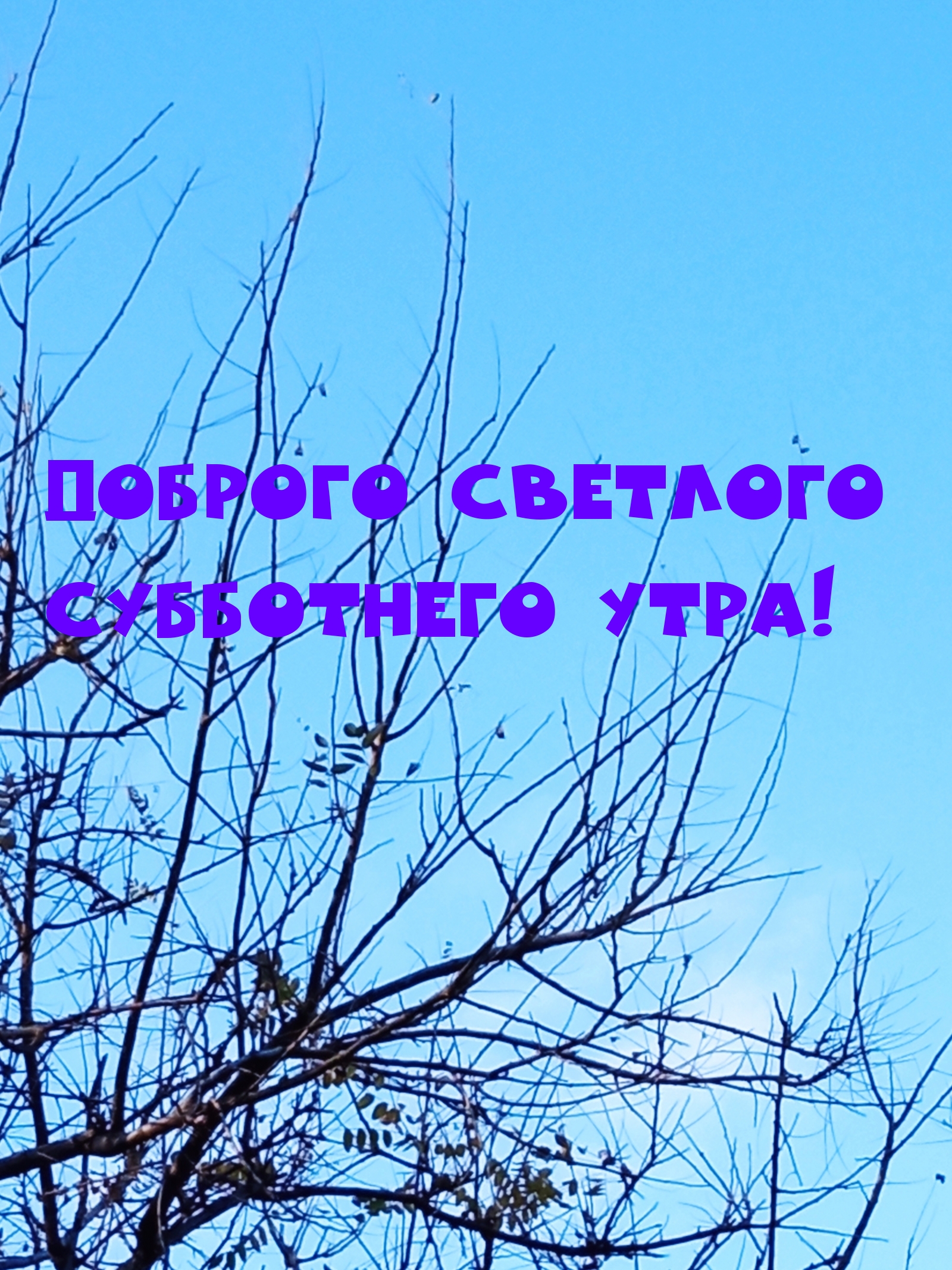 Доброго светлого Субботнего утра!