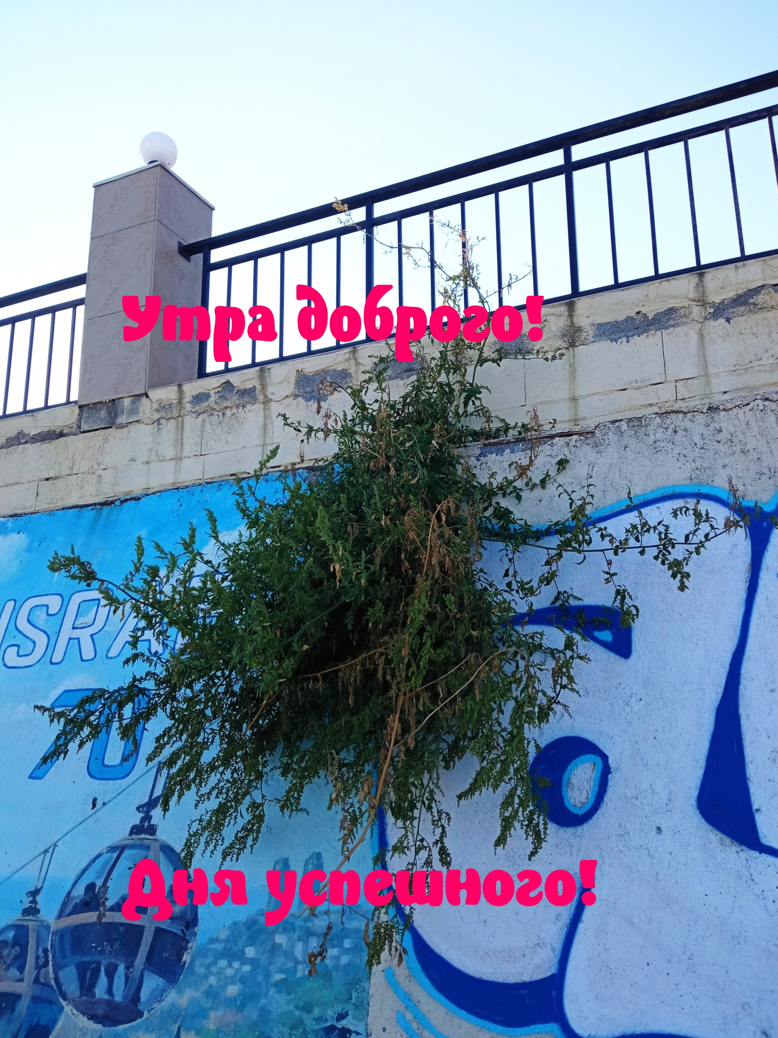 Утра доброго! Дня успешного!