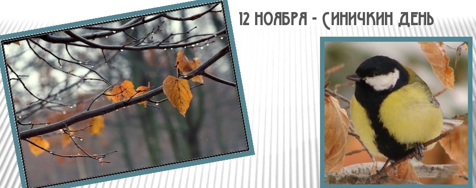 12 ноября — Синичкин день