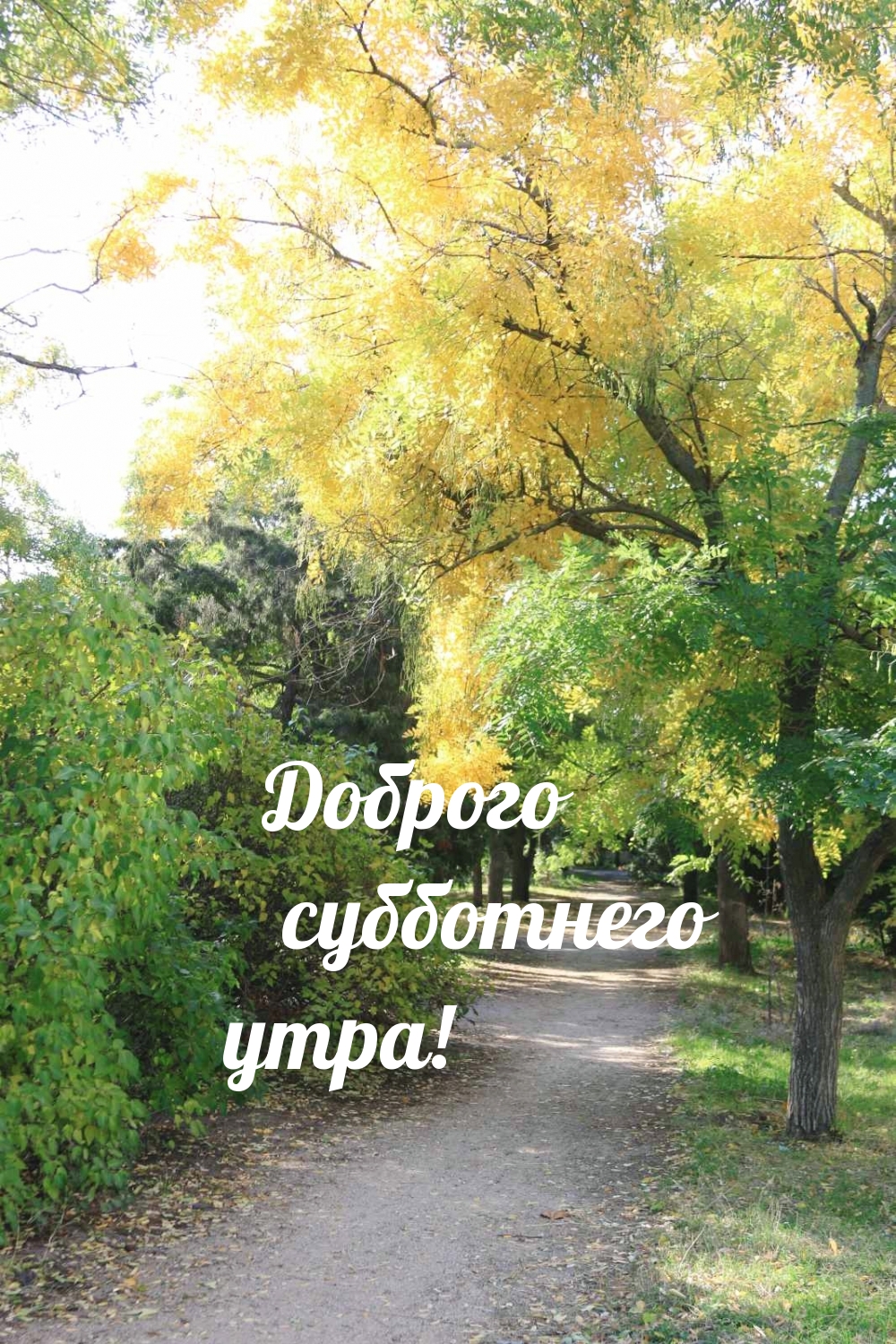 Доброго субботнего утра!