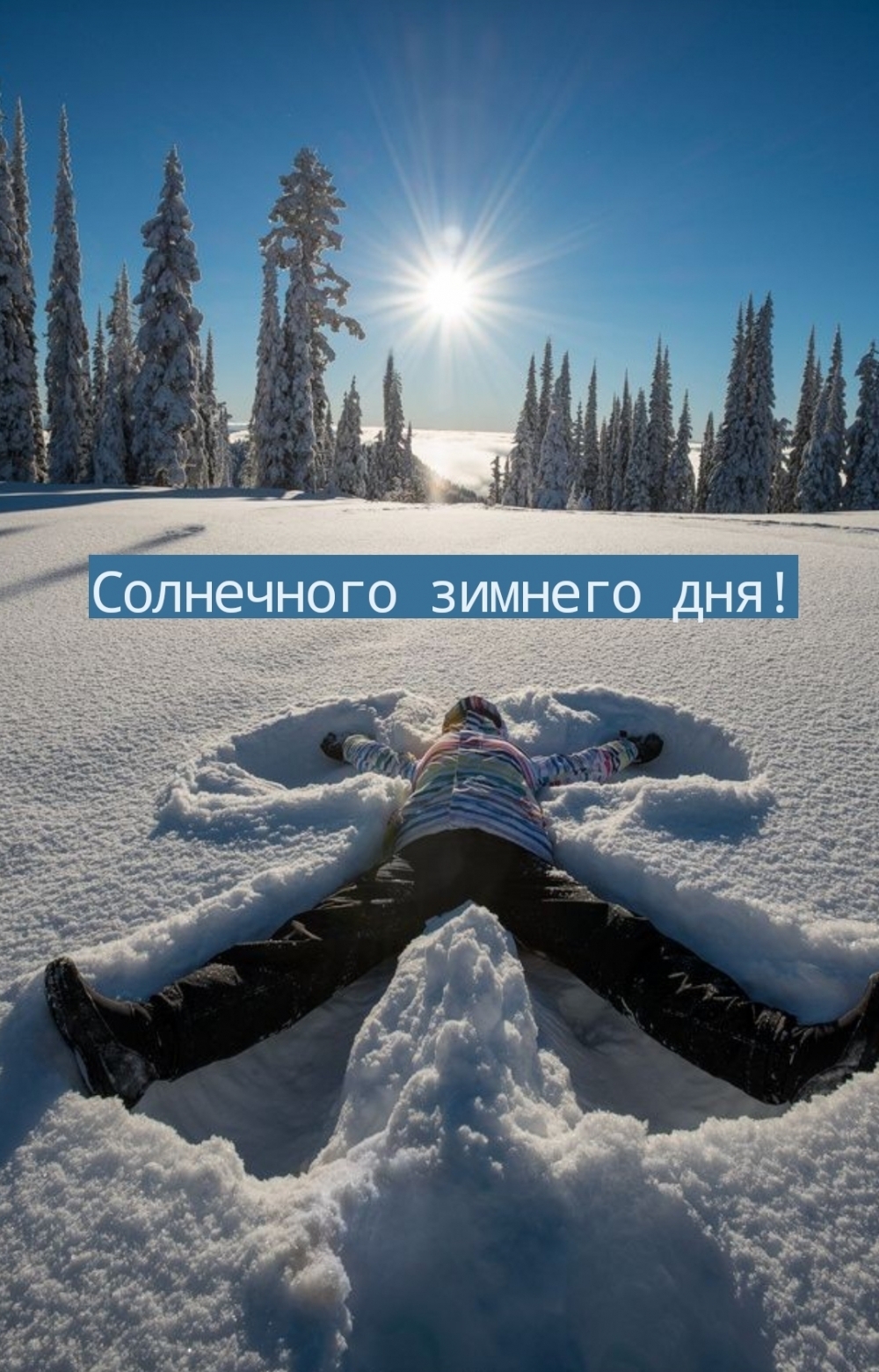 Солнечного зимнего дня!