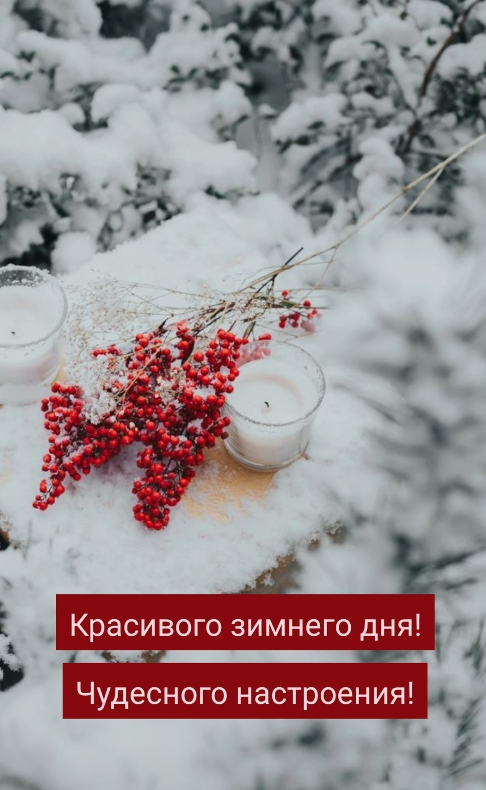 Красивого зимнего дня! Чудесного настроения!