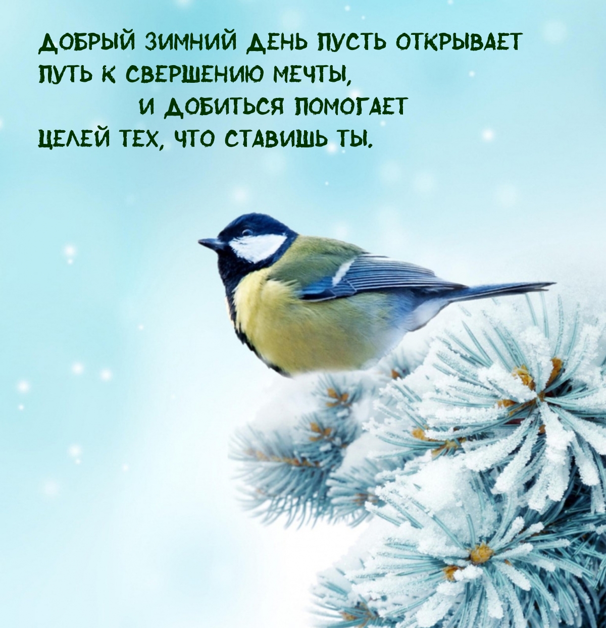 Добрый зимний день пусть открывает путь к свершению мечты