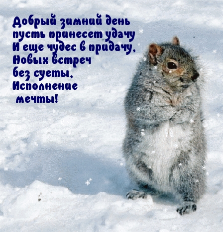 Добрый зимний день пусть принесет удачу