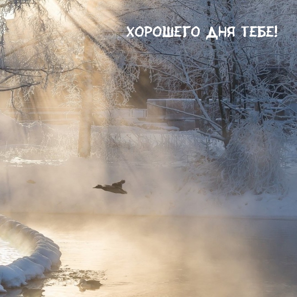 Хорошего дня тебе!