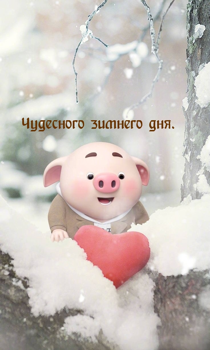 Чудесного зимнего дня.