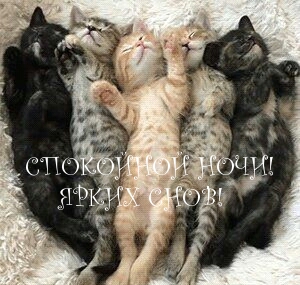 СПОКОЙНОЙ НОЧИ! ЯРКИХ СНОВ!