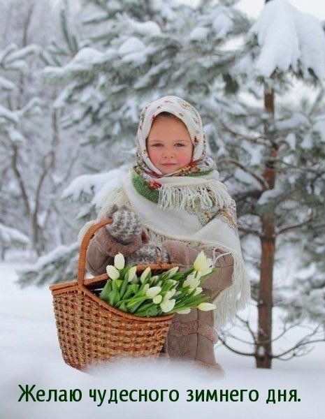 Желаю чудесного зимнего дня.