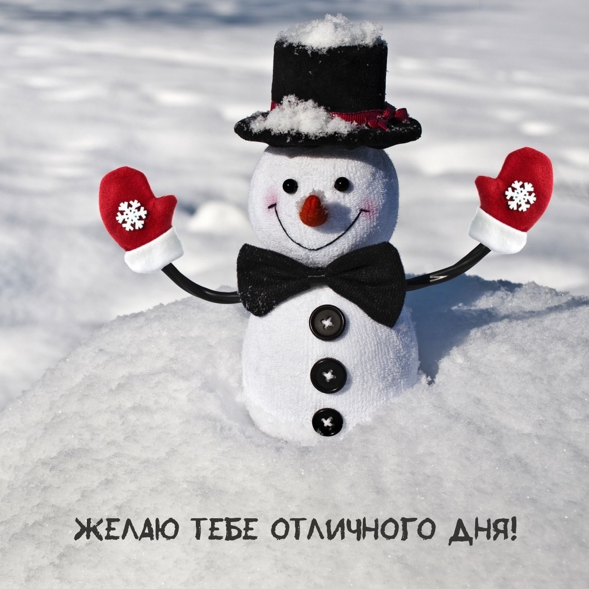 Желаю тебе отличного дня!