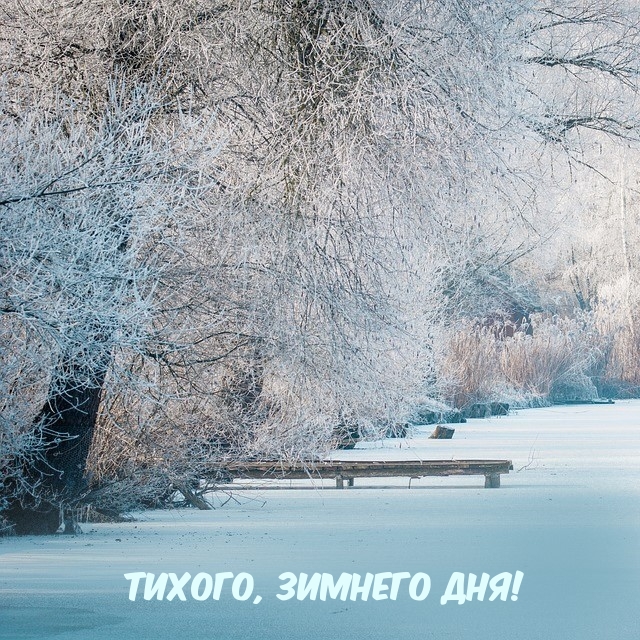 Тихого, зимнего дня!