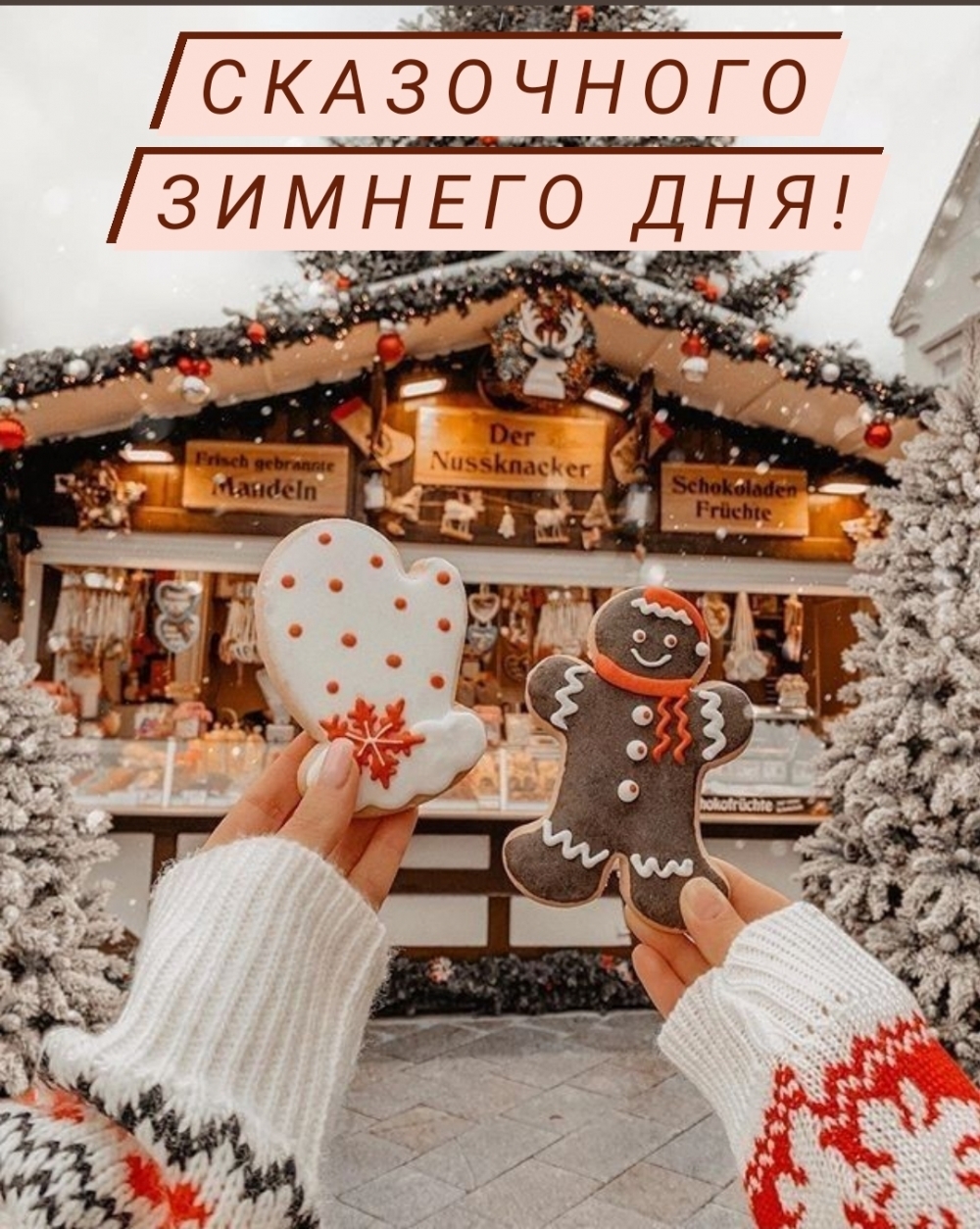Сказочного Зимнего дня!
