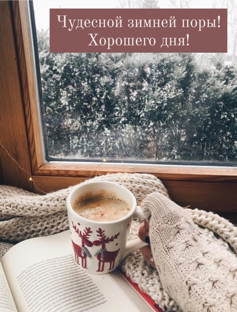 Чудесной зимней поры! Хорошего дня!