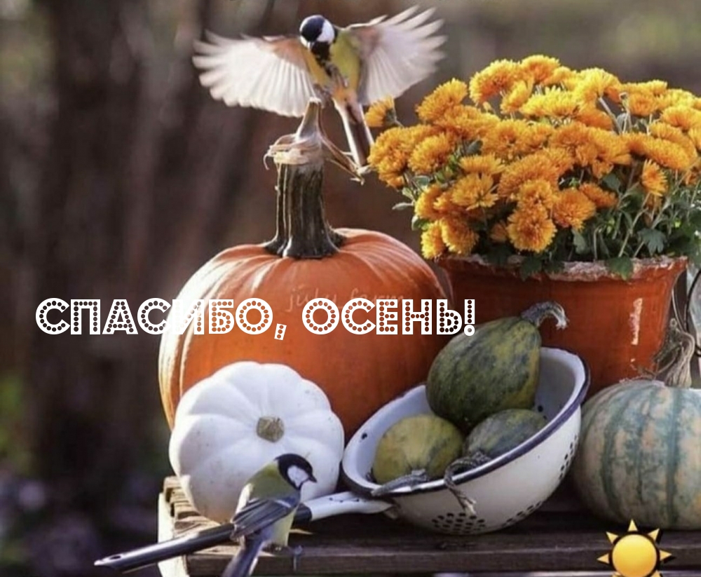 Спасибо, осень!