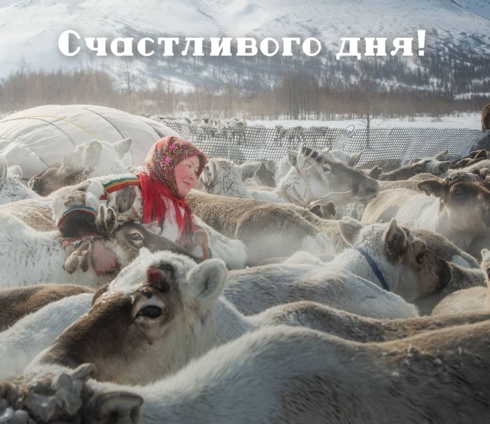 Счастливого дня!