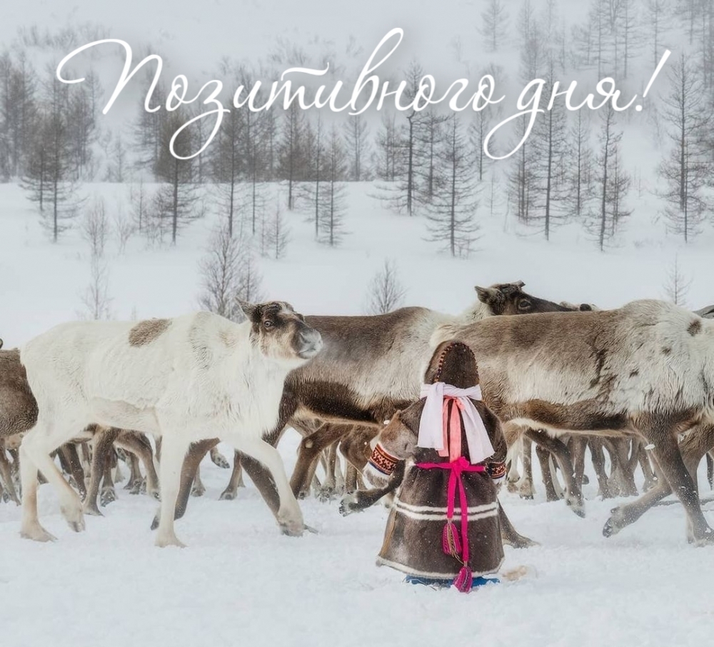 Позитивного дня!