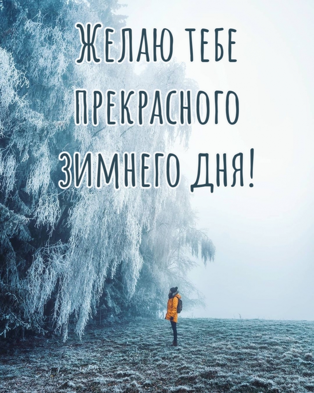 Желаю тебе прекрасного зимнего дня!