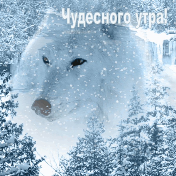 Чудесного утра!