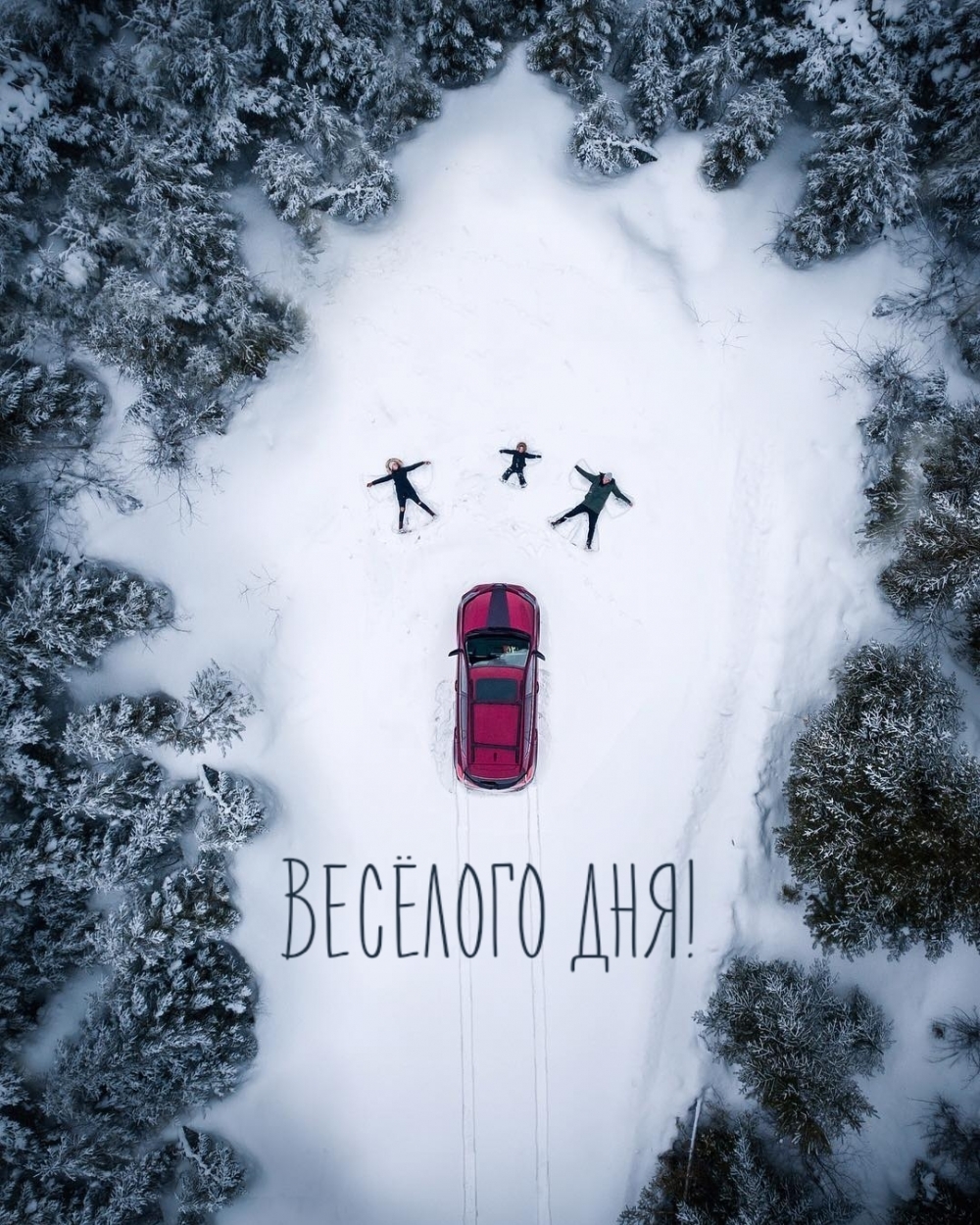 Весёлого дня!