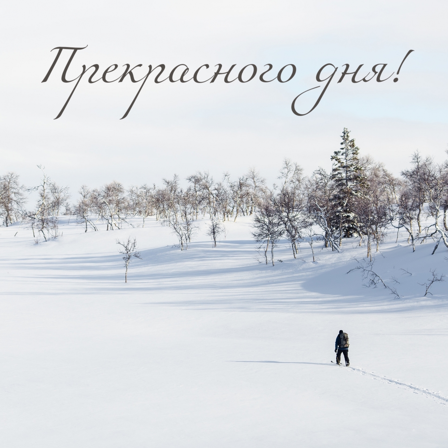 Прекрасного дня!