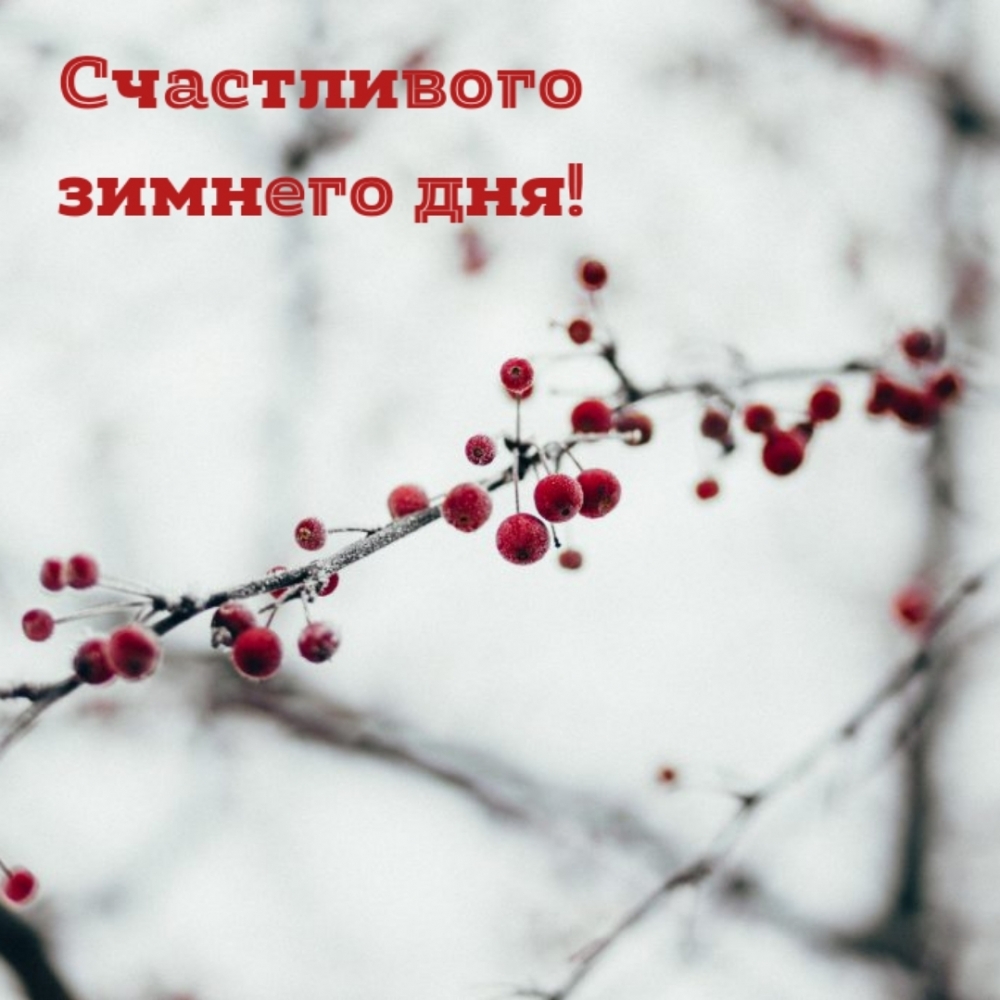 Счастливого зимнего дня!