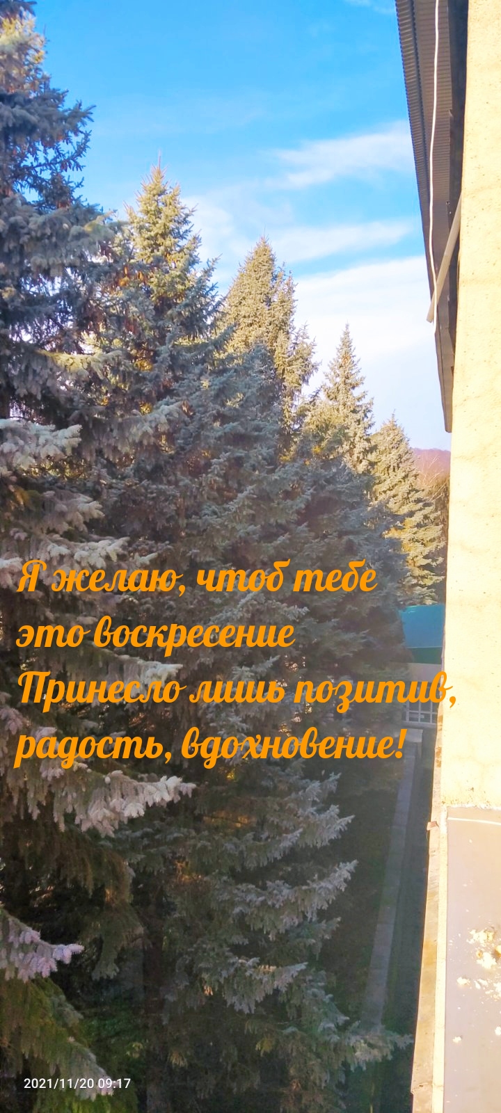 Я желаю, чтоб тебе это воскресение принесло лишь позитив