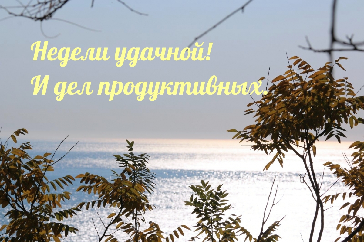 Недели удачной! И дел продуктивных.