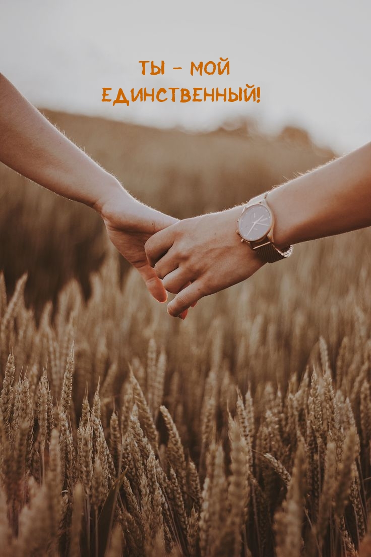 Ты — мой Единственный!