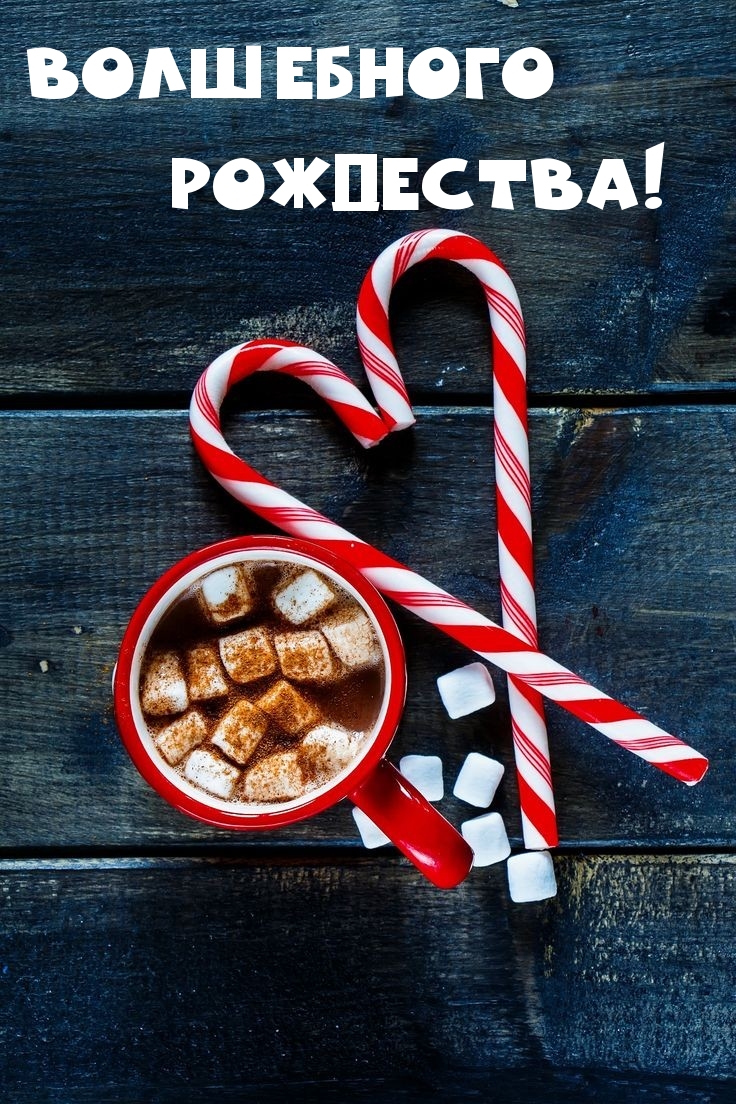 Волшебного Рождества!