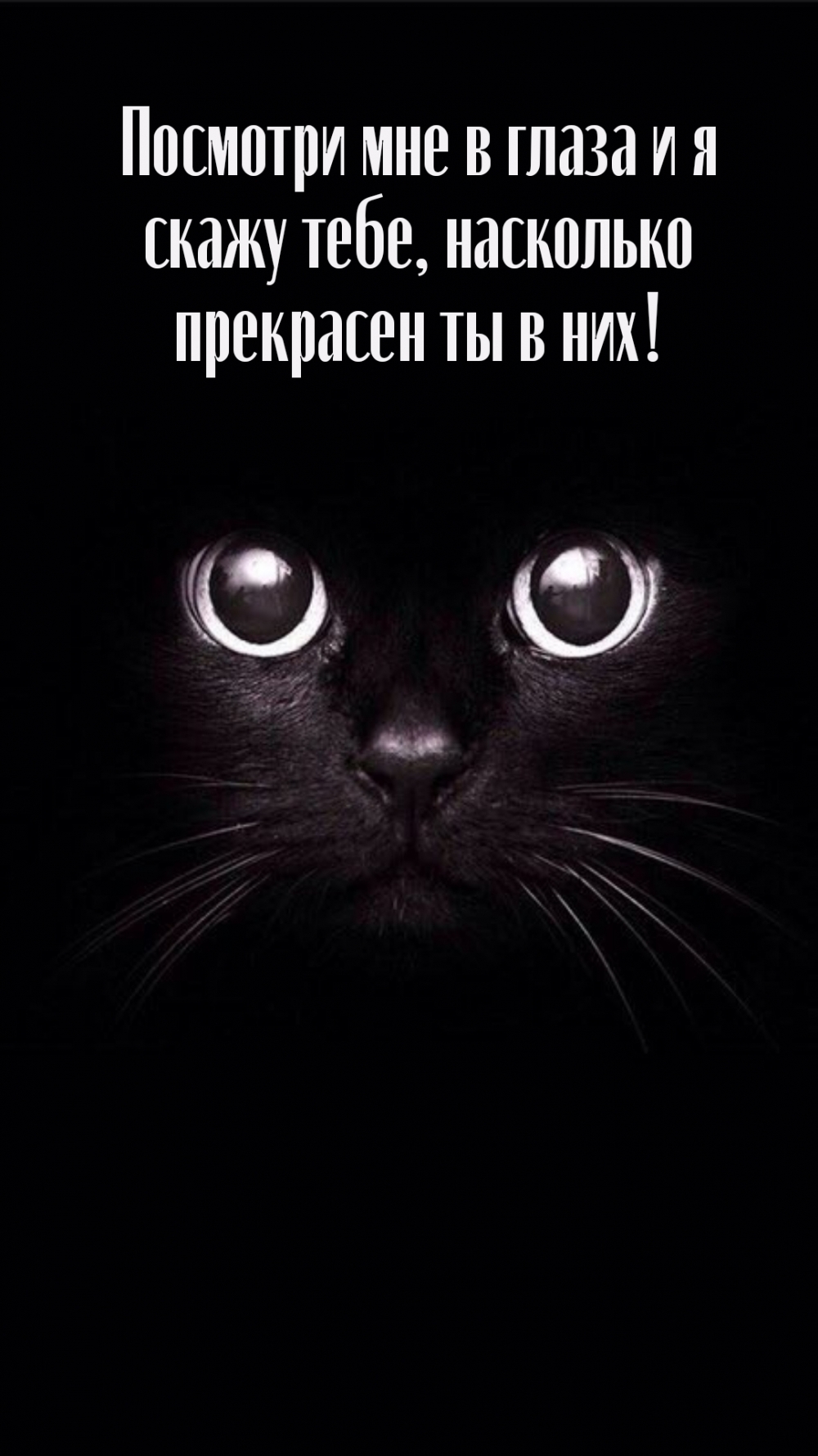 Посмотри мне в глаза и я скажу тебе, насколько прекрасен ты в них!