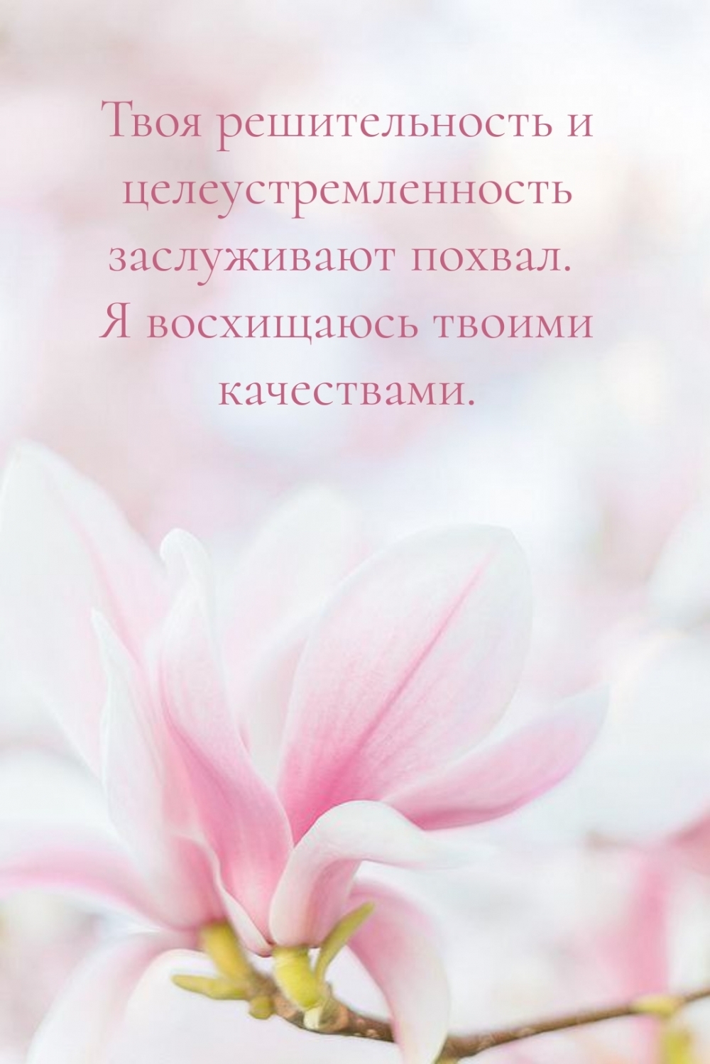 Твоя решительность и целеустремленность заслуживают похвал