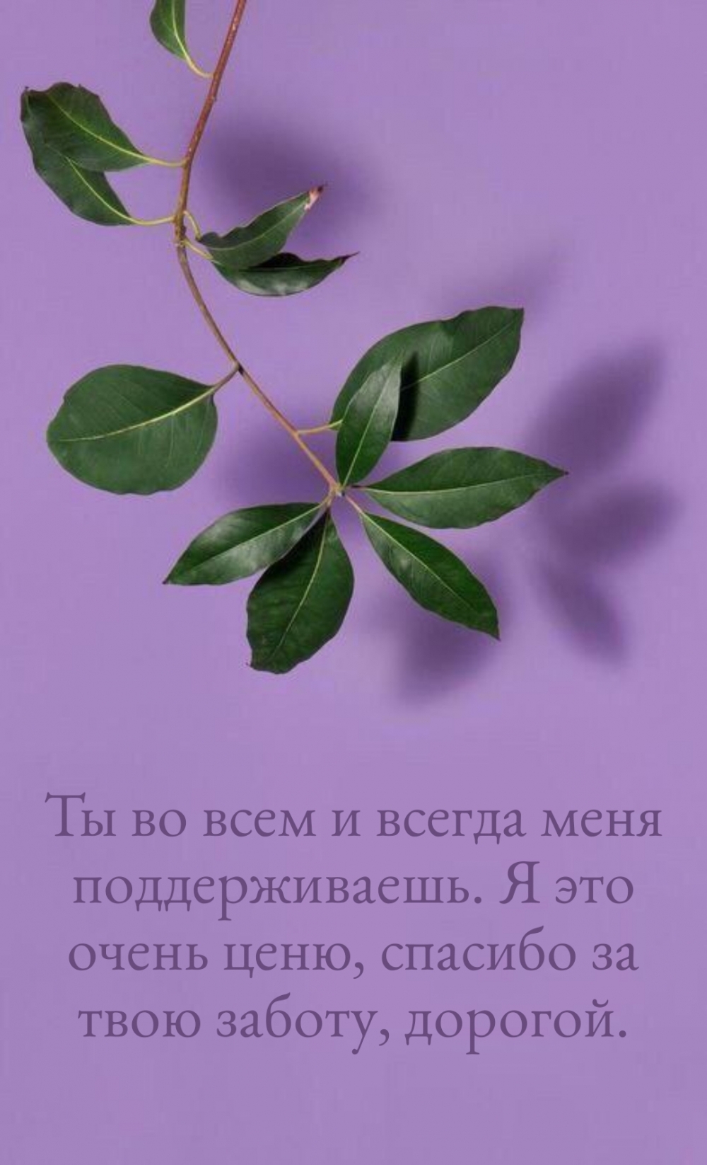 Ты во всем и всегда меня поддерживаешь.