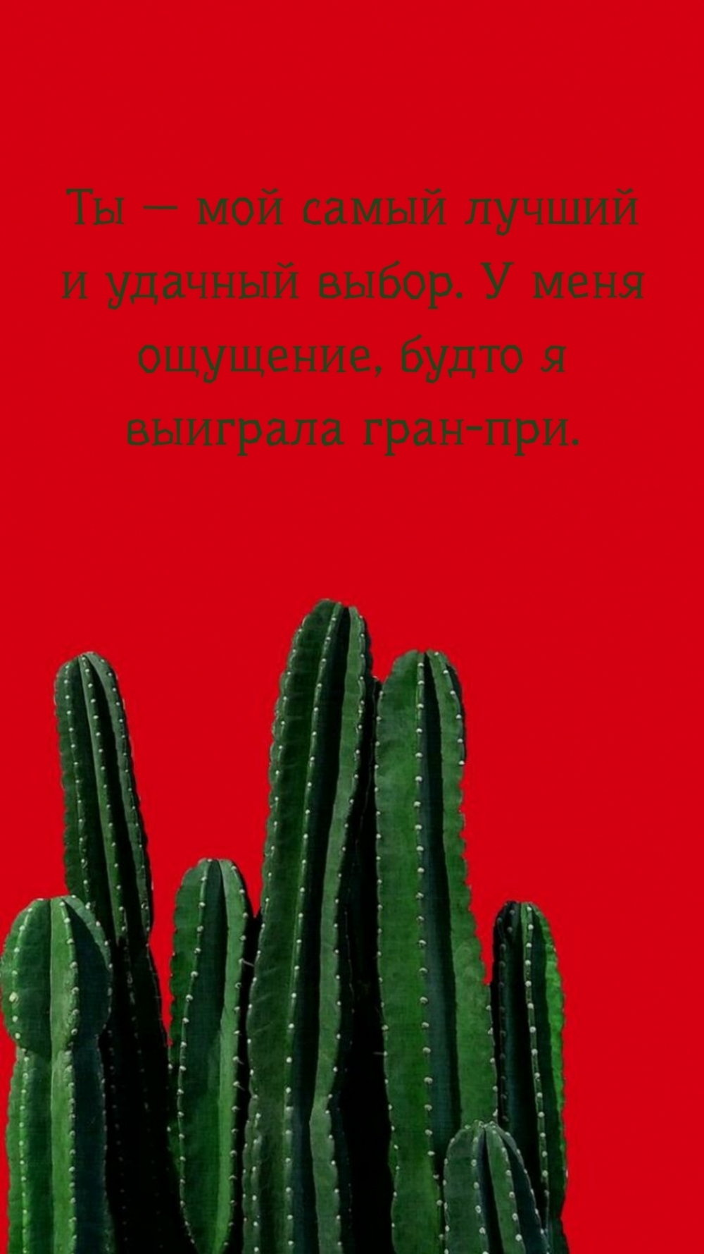 Ты — мой самый лучший и удачный выбор.
