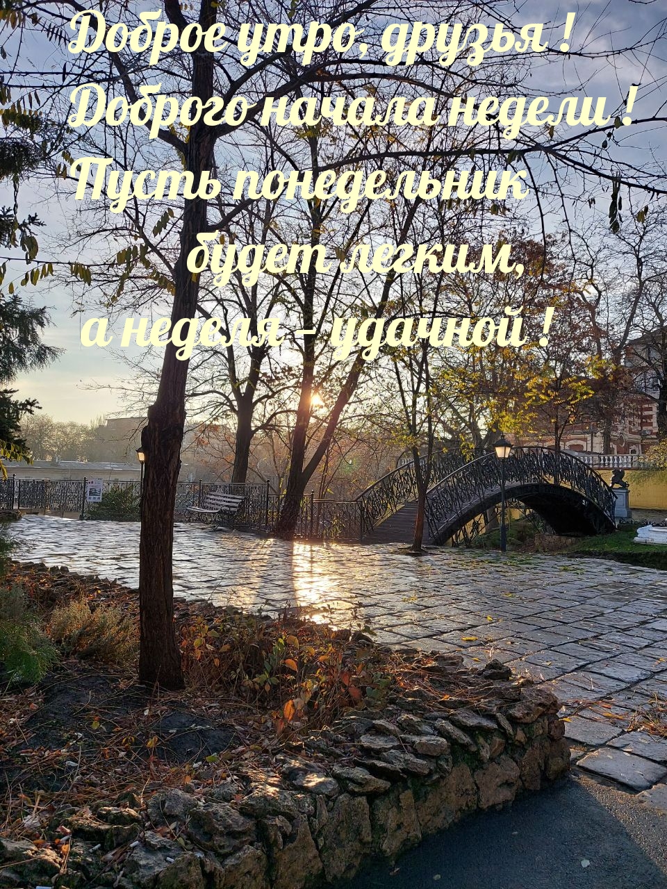 Доброго начала недели!