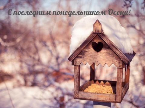 С последним понедельником Осени!