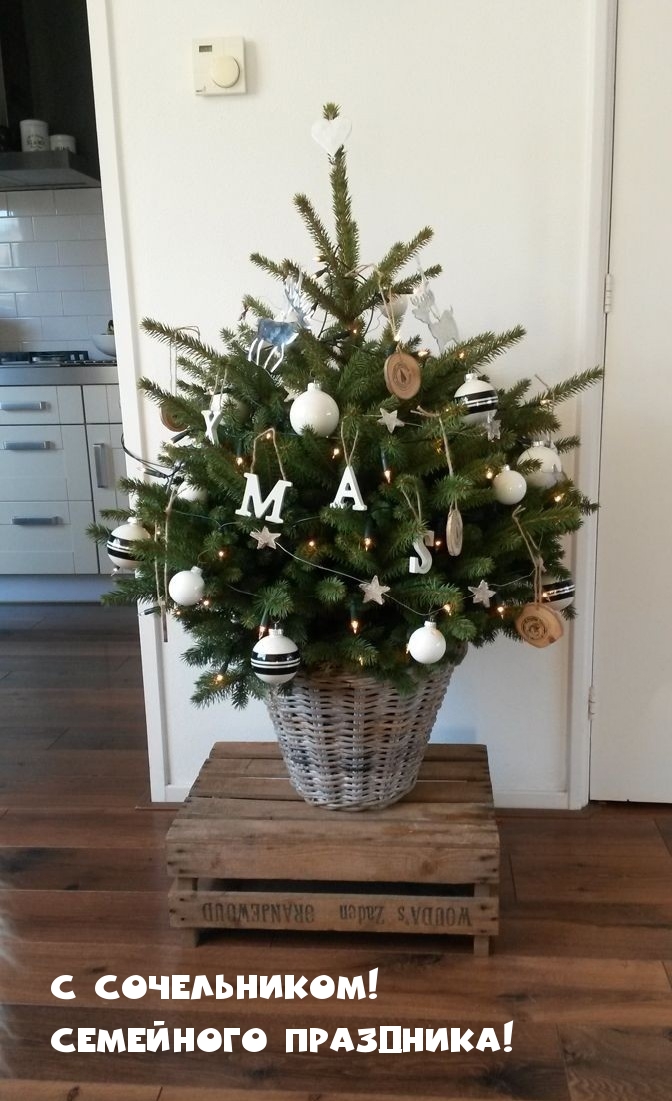 С сочельником! Семейного праздника!
