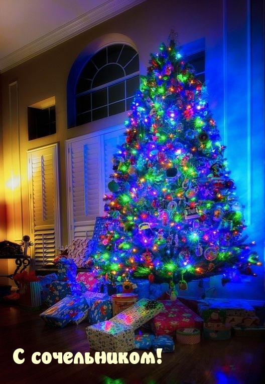 С сочельником!