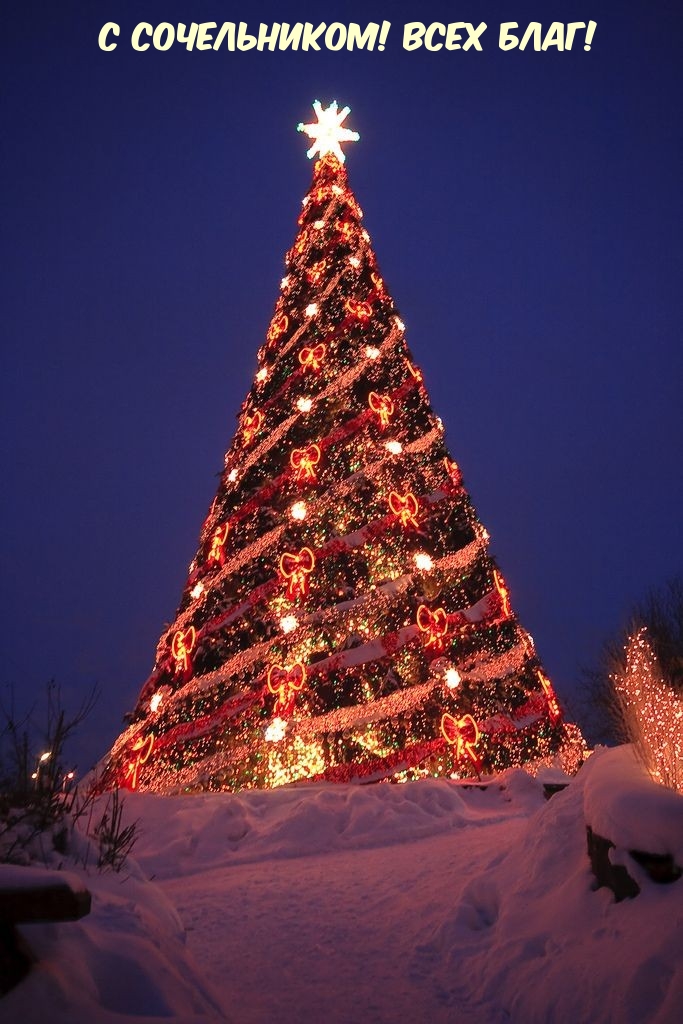 С сочельником! Всех благ!
