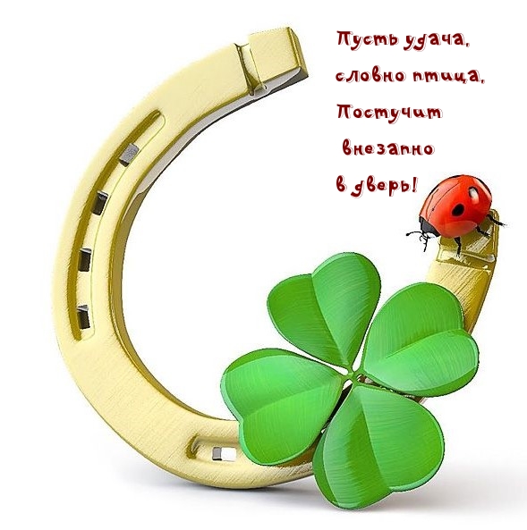Пусть удача, словно птица, постучит внезапно в дверь!
