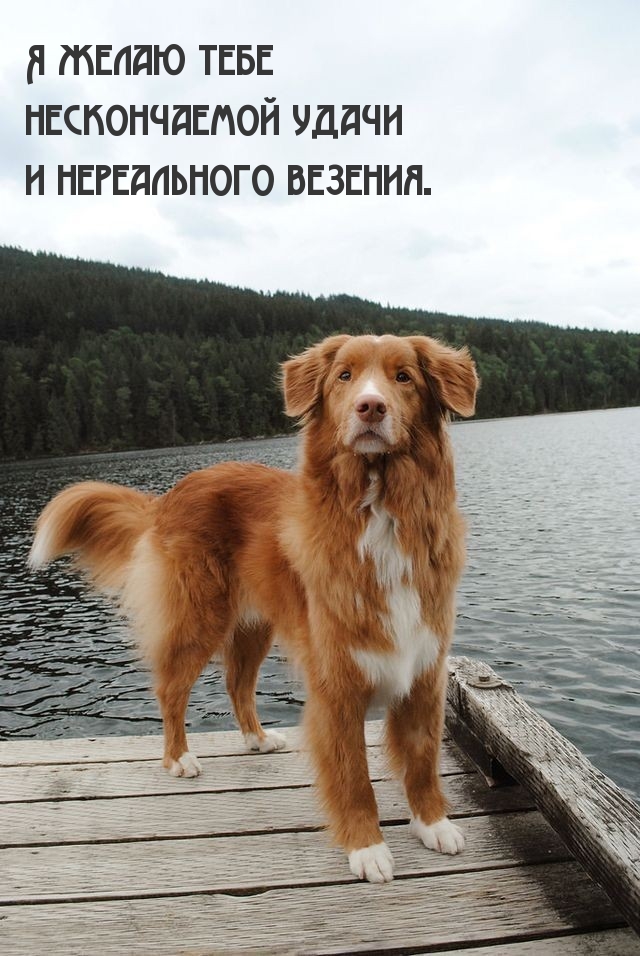 Я желаю тебе нескончаемой удачи и нереального везения.