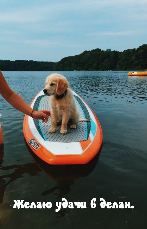 Желаю удачи в делах.