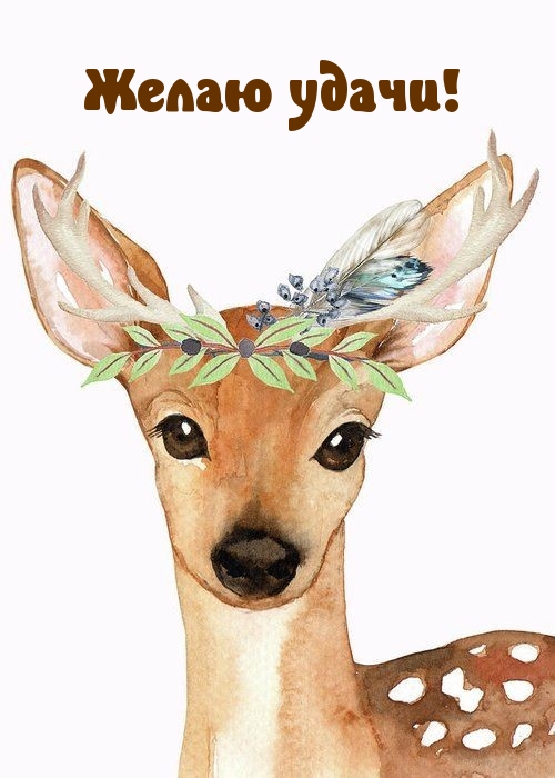 Желаю удачи!