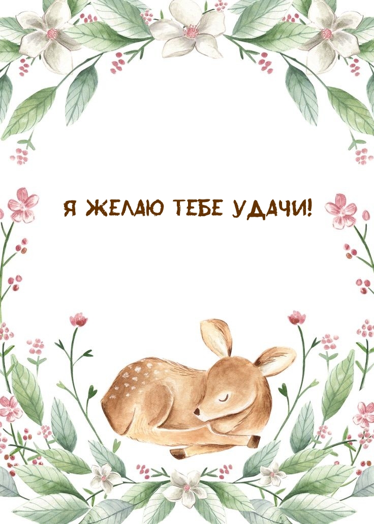 Я желаю тебе удачи!