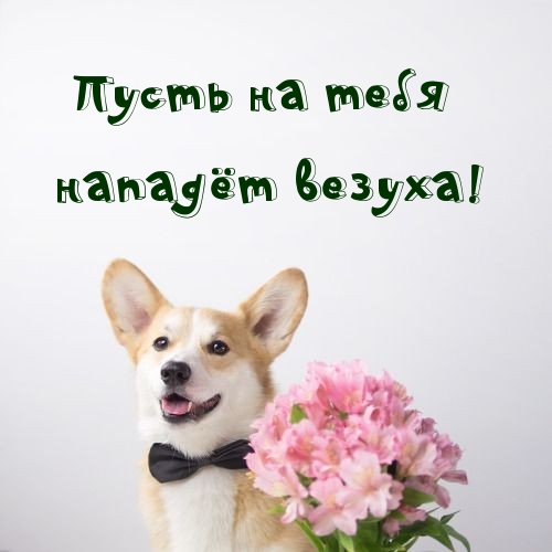 Пусть на тебя нападёт везуха!