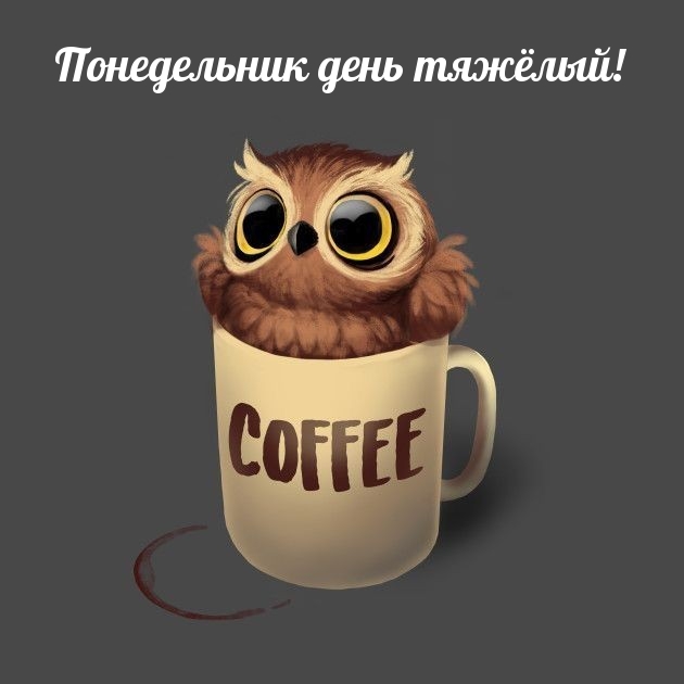 Понедельник день тяжёлый!