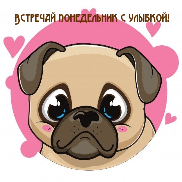 Встречай понедельник с улыбкой!