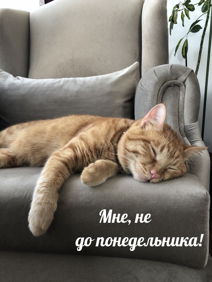 Мне, не до понедельника!