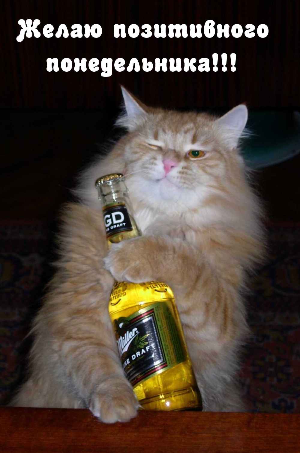 Желаю позитивного понедельника!