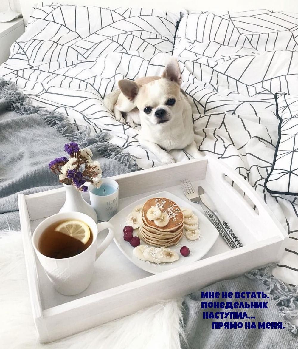 Мне не встать. Понедельник наступил… прямо на меня.