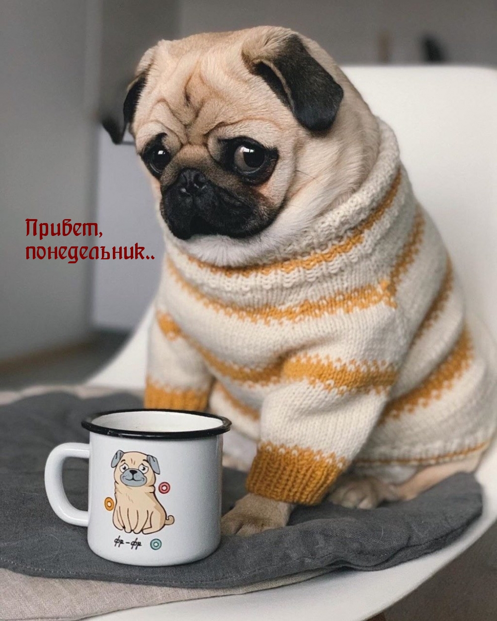 Привет, понедельник..